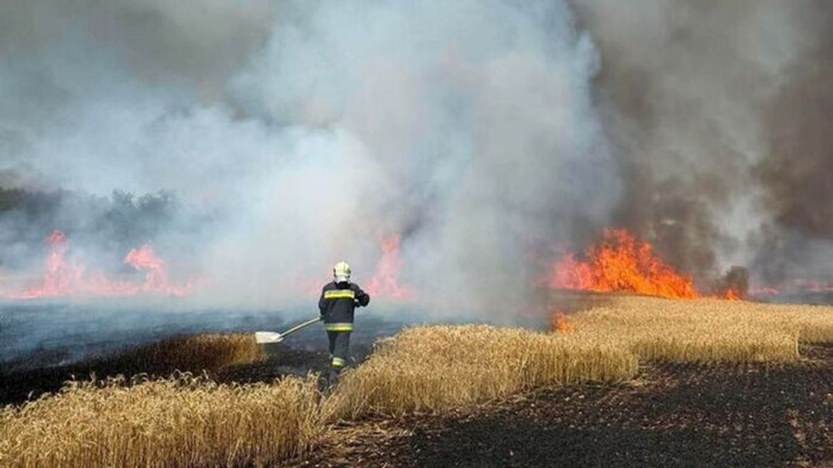 Megfeszített munka Besnyőn: a tűz után most a körbálákkal küzdenek a tűzoltók