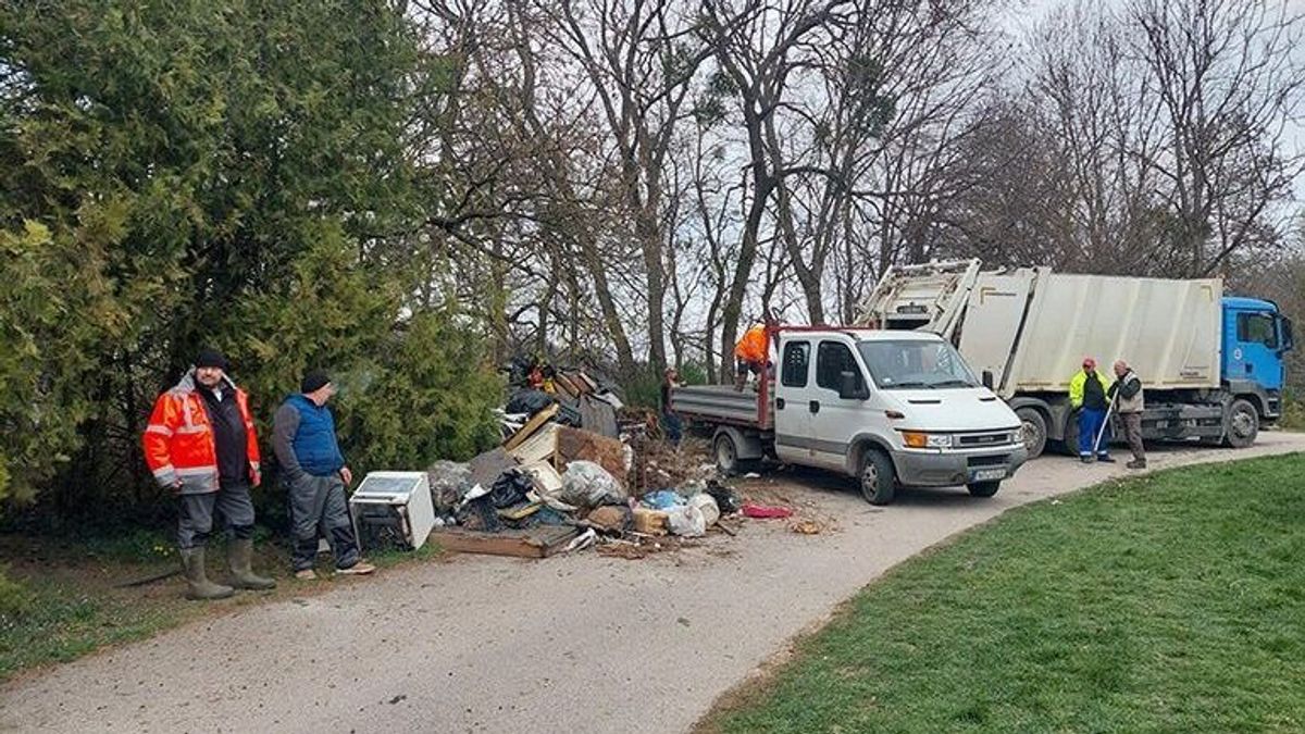 Több mint 12 ezer tonna illegális hulladékot szedtek össze az erdőkből