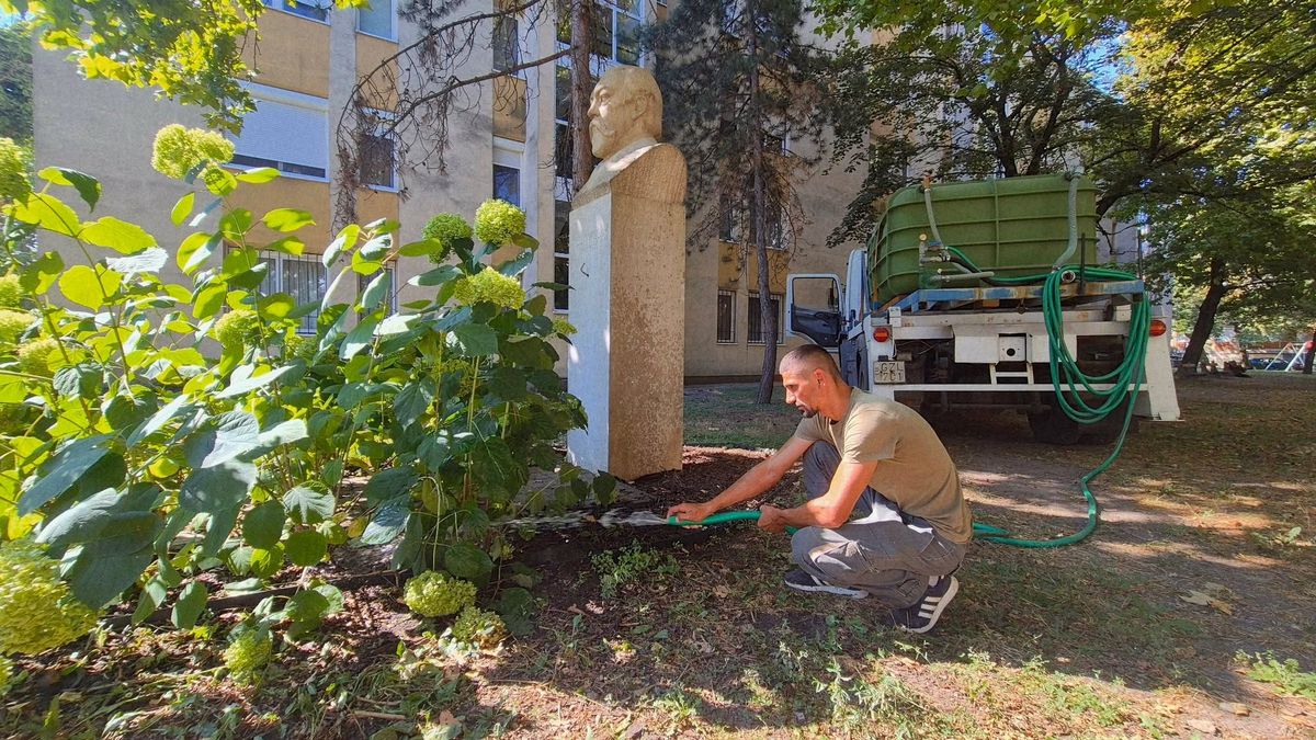 Fenntartható megoldással óvják a város zöldterületeit Székesfehérváron