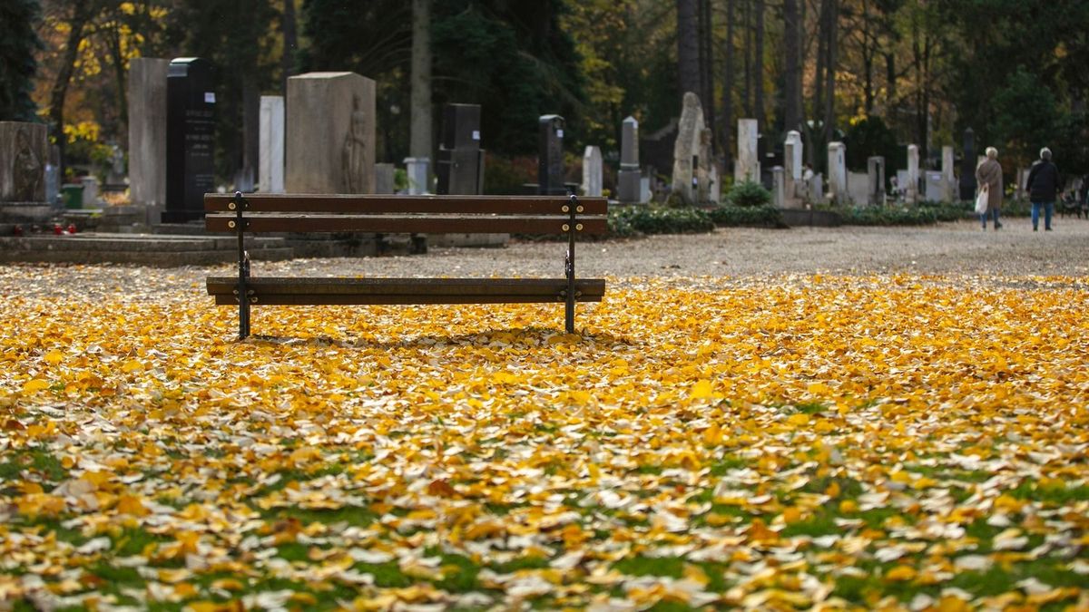 Mécseseket rongált, rózsamackókat lopott a gyermeksírról – ez lett a vége
