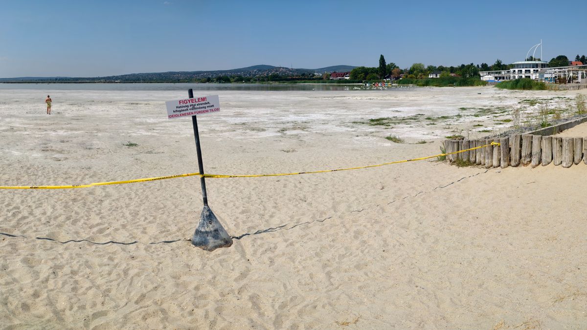Megdöbbentő felvétel készült: ennyit kellett gyalogolni a vízig a Velencei-tó partján (galéria, videó)