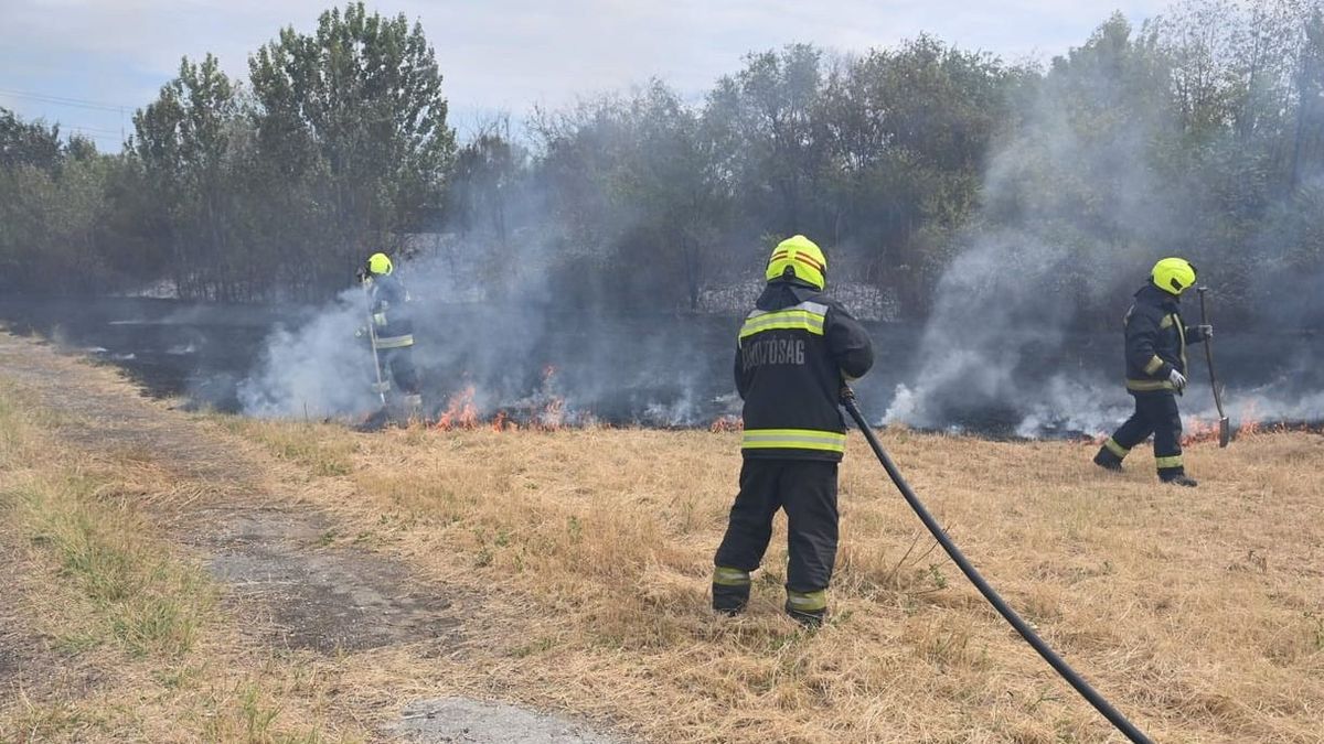 Lángra kapott a trágyakupac Fejérben, több száz bálát is veszélyeztet