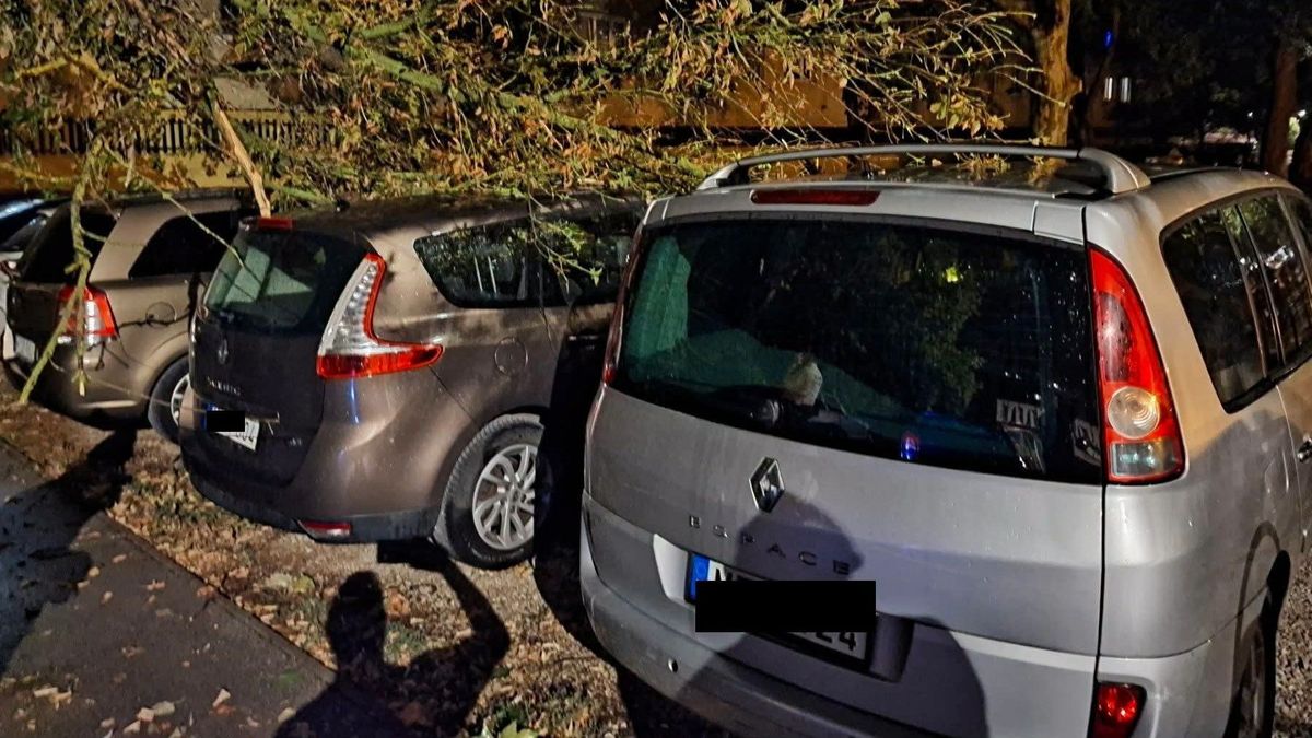 Öt autóra zuhant egy leszakadt faág – komoly károkat okozott a péntek esti vihar Fehérváron
