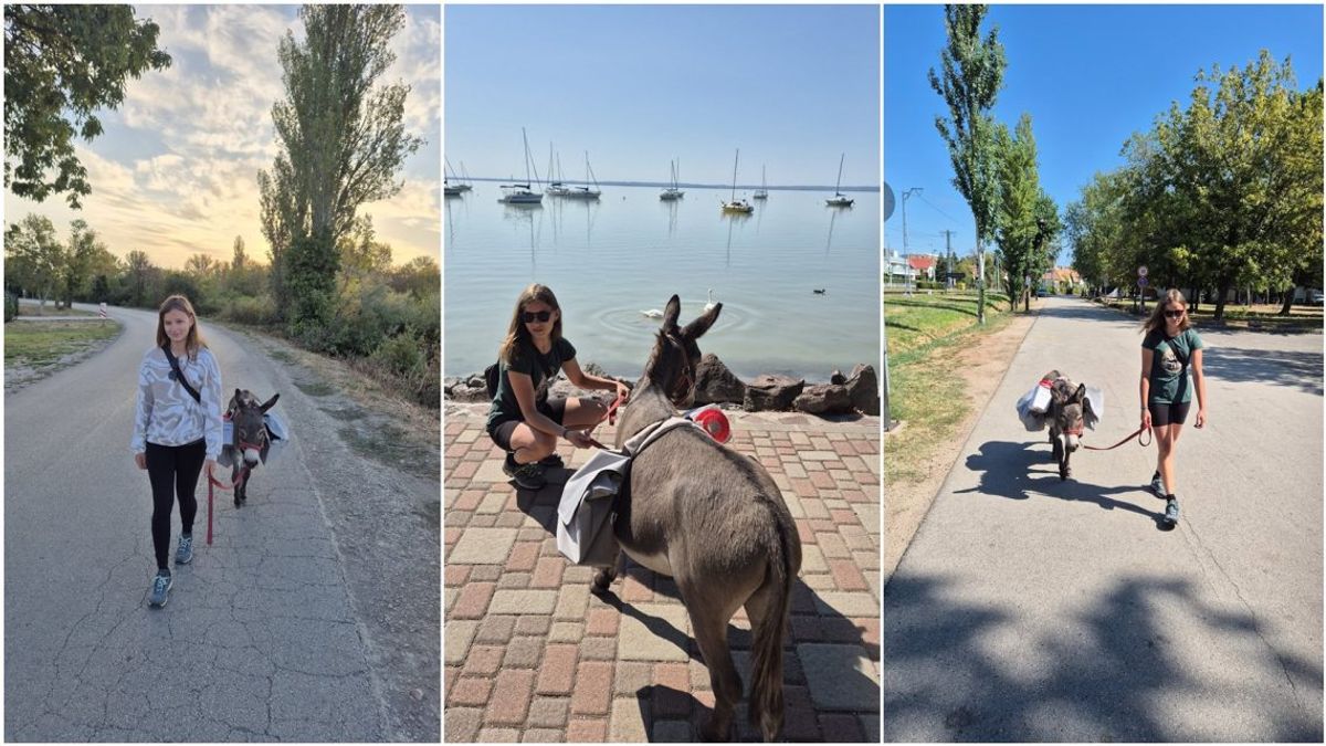 Törpeszamarával vágott neki a Balaton megkerülésének a 17 éves lovász lány