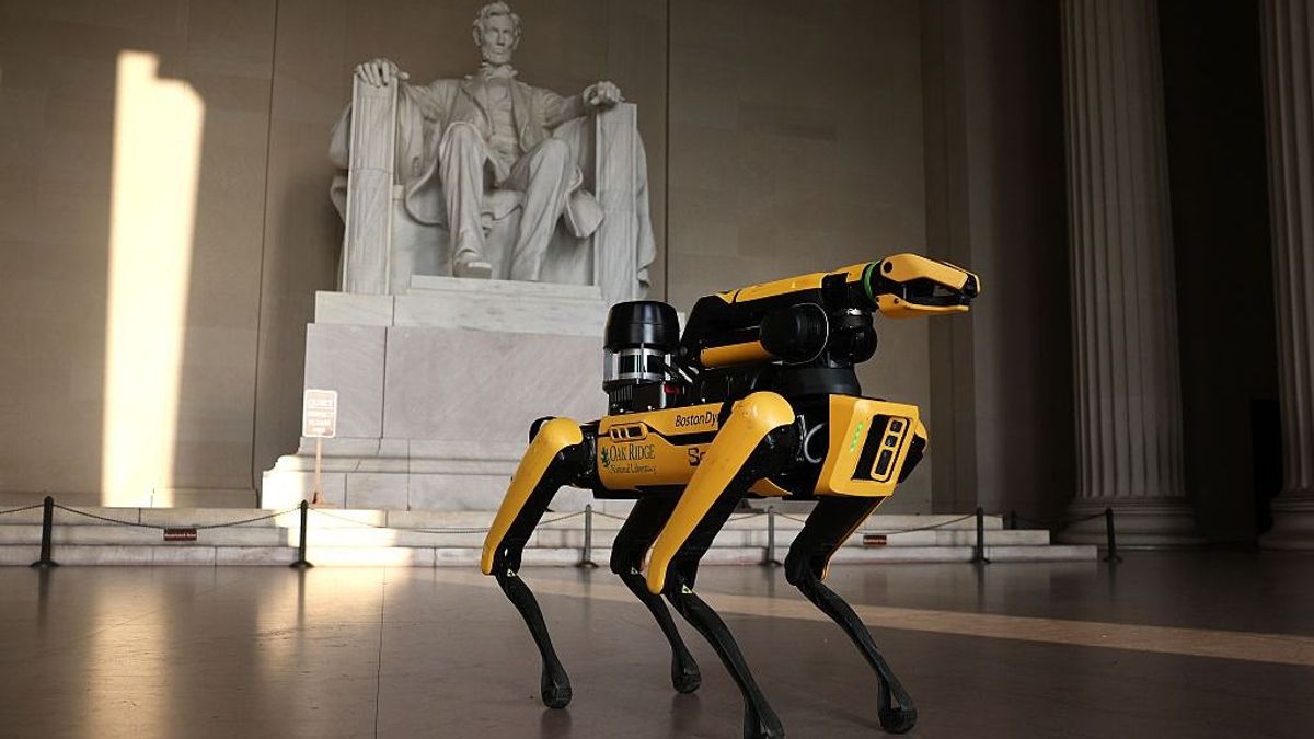 Robotkutyákat vetnének be az illegális migránsok ellen – nagy vihart kavart a terv (videó)