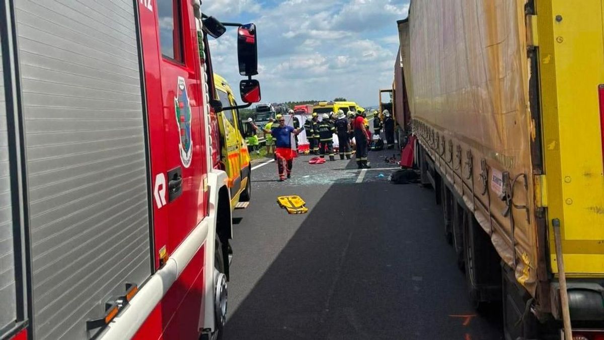 Tömegbaleset történt az autópályán, egy lószállító teherautó is érintett