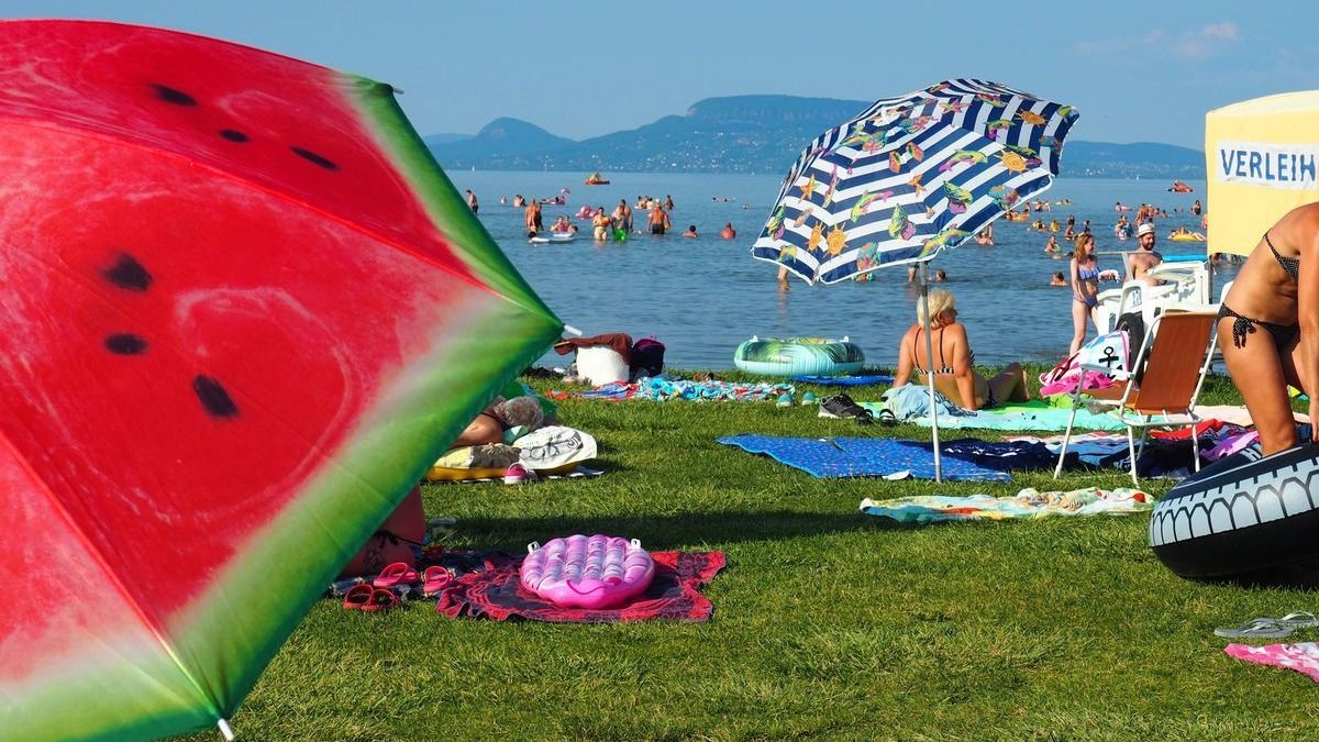 Erre a top 5-re esküsznek Olvasóink, íme a legmenőbb nyári ételek, italok!
