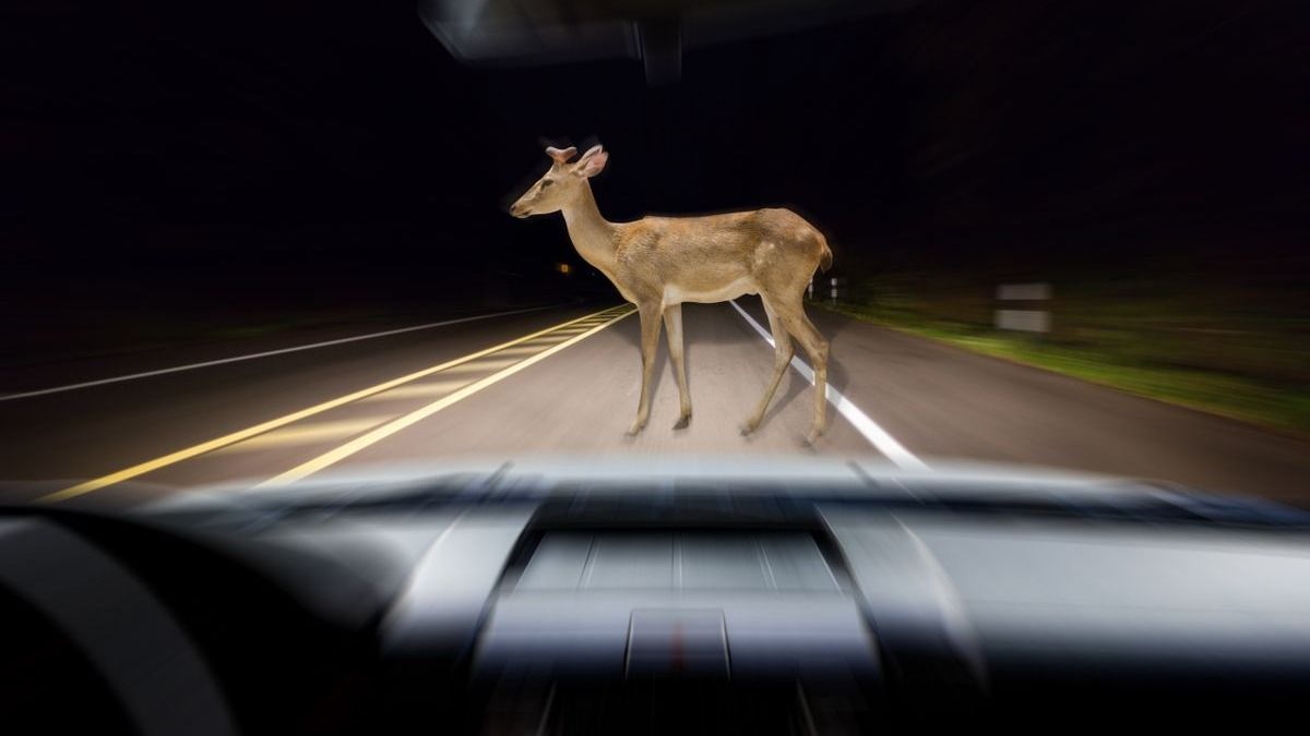 Ezért zárták le hajnalban az M7-es autópályát