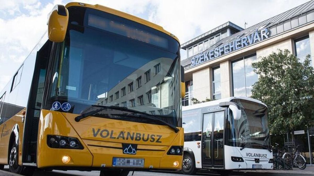 Rács mögé dugták a tomboló fehérvári nőt, aki buszsofőrt is bántalmazott