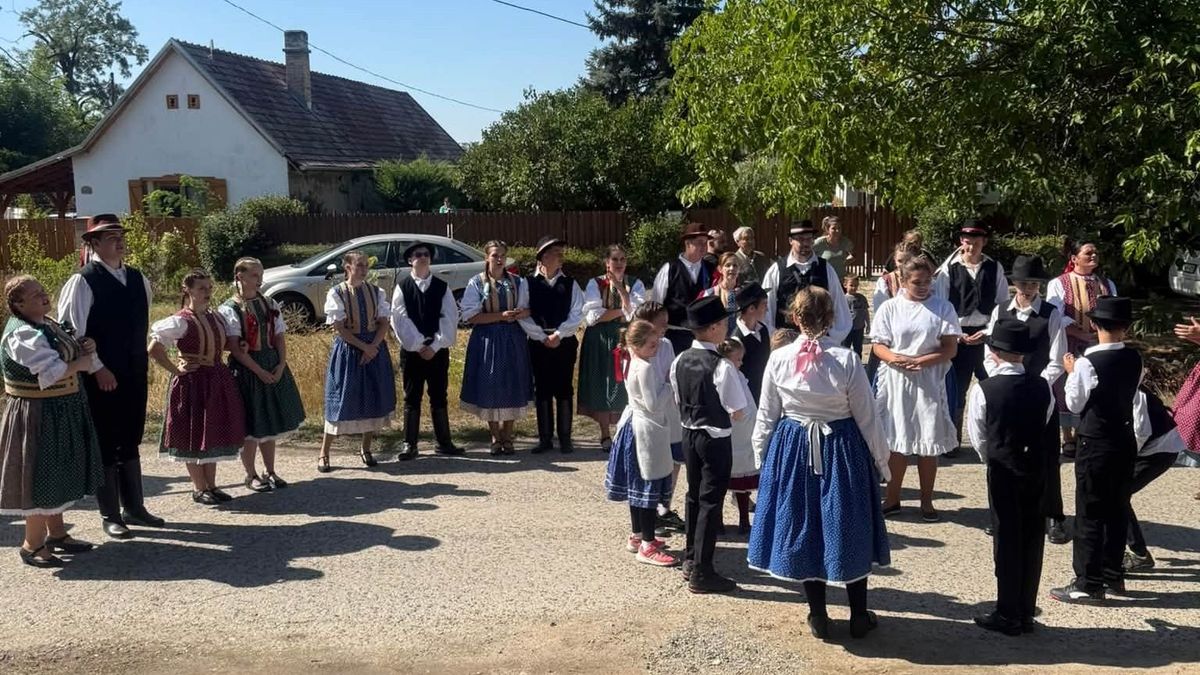 Lovasok, néptánc és muzsikaszó töltötte meg Pátka utcáit – közösen ünnepelt a falu