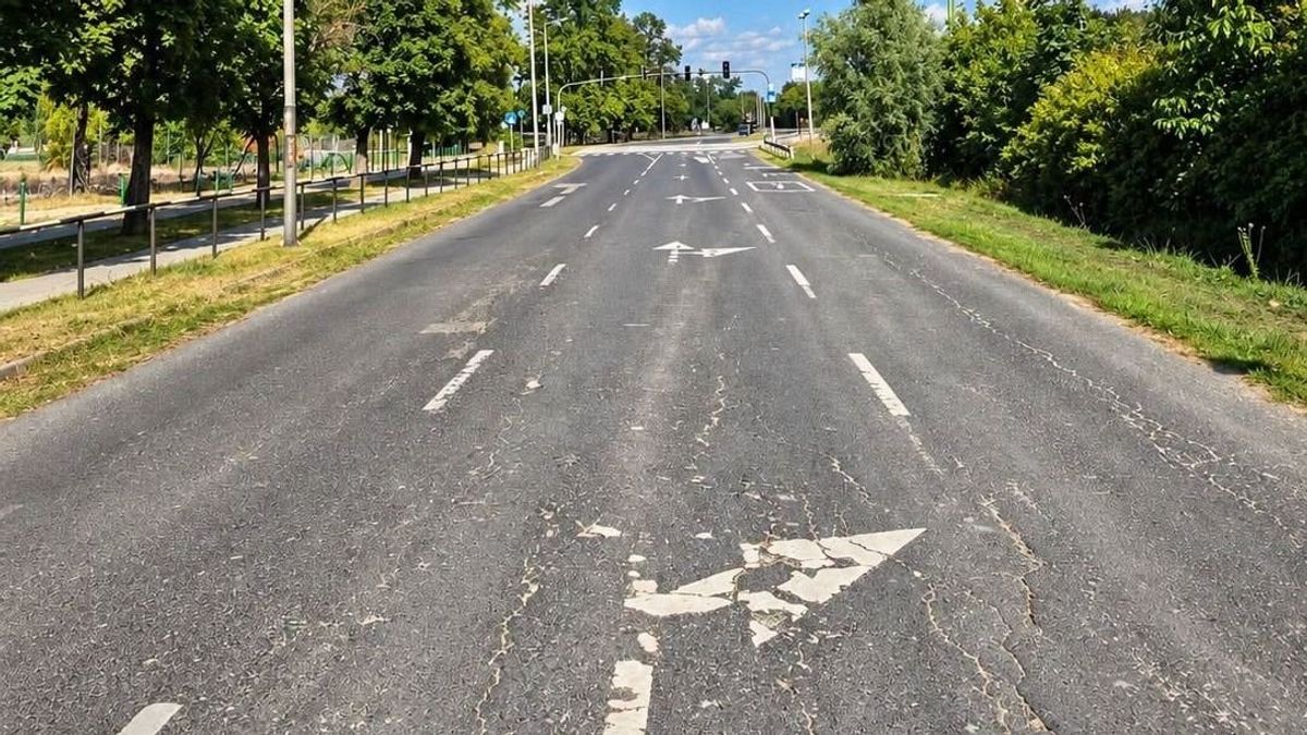 Ezt tartalmazza egy fontos fejlesztés a Velencei-tónál, kiderült, mikor kezdődhet a kivitelezés