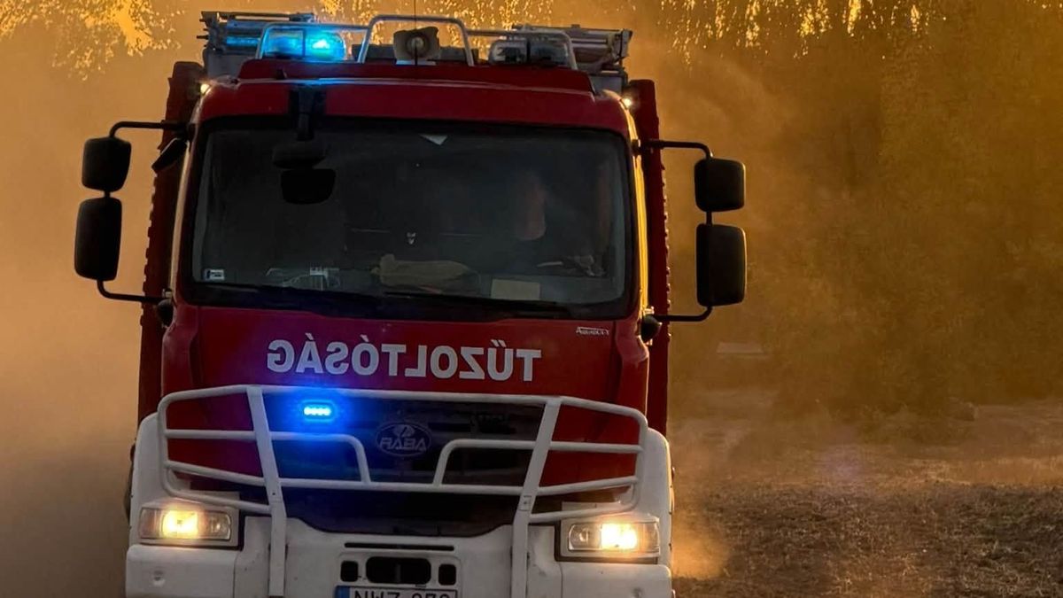 Tűz ütött ki a velencei mezőgazdasági iskola területén, tájékoztatást adott ki a polgármester
