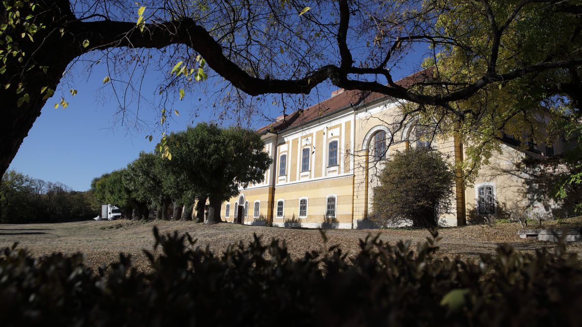 Nézd meg, mit tettek a szorgos kezek az iszkaszentgyörgyi kastélyparkban! (+ galéria)
