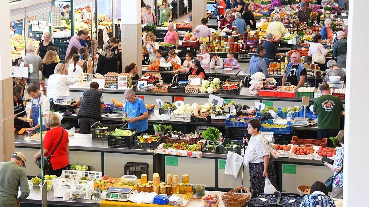 Újabb fordulat az Alba Pláza ügyében: kiderült, mi lesz a Városi Piaccal
